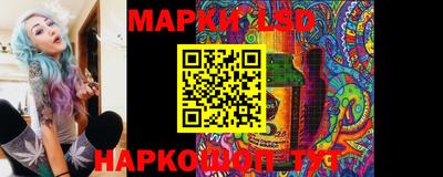 стаф Гатчина