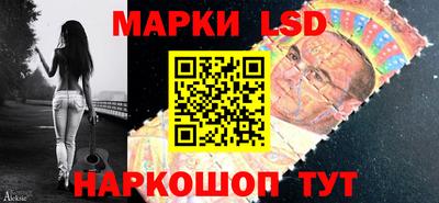 стаф Гатчина