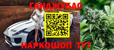 мяу мяу мука Гагарин