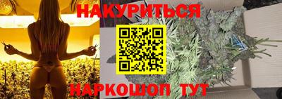 стаф Гатчина