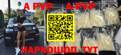 стаф Гатчина