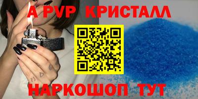 стаф Гатчина