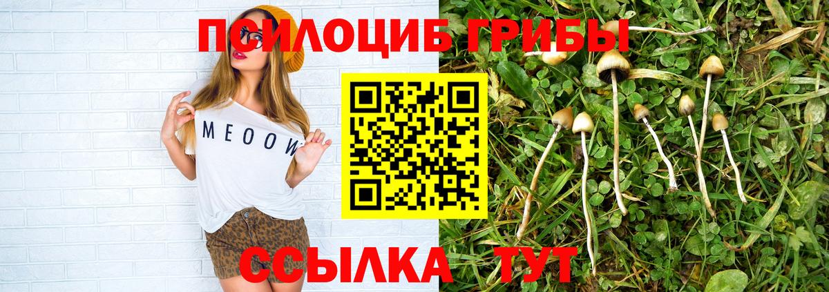 Псилоцибиновые грибы ЛСД  Вход с VPN  Канаш 
