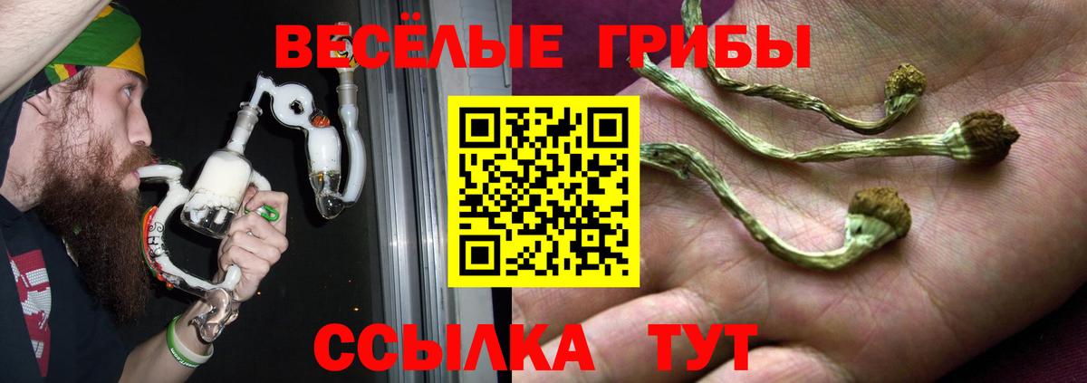 Псилоцибиновые грибы мухоморы Канаш